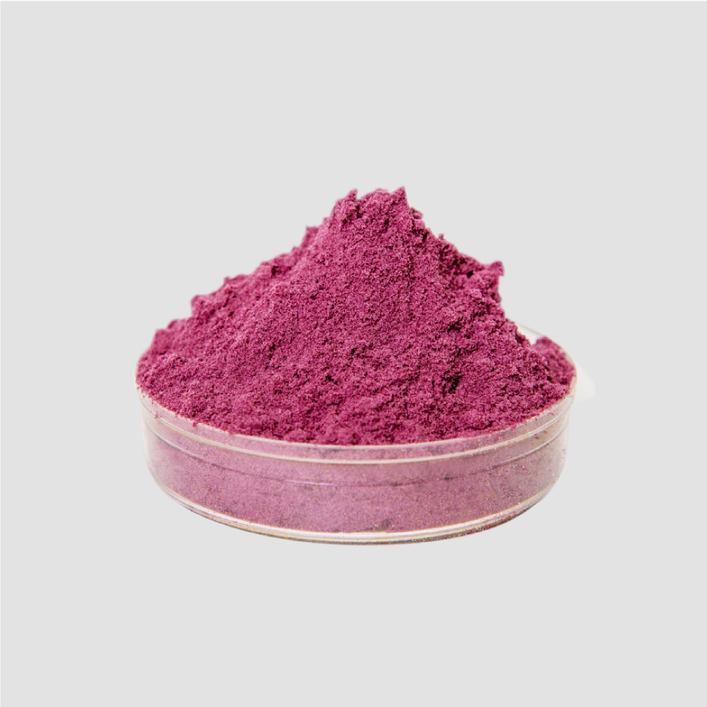 Organic Cranberry Powder 有機蔓越莓粉