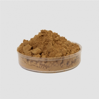 Lycium Extract 枸杞萃取粉