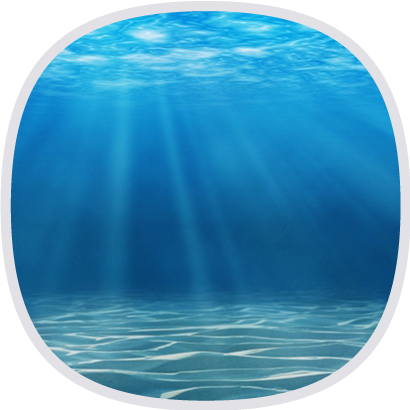 海水礦物質濃縮液