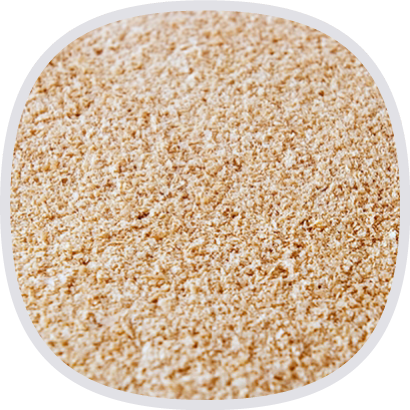 啤酒酵母 啤酒酵母