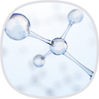 二型膠原蛋白(Undenatured Collagen Type II)