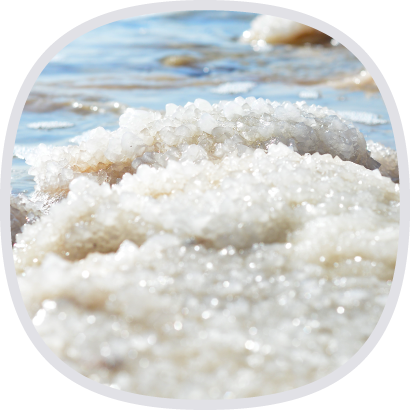 美國大鹽湖萃取 美國大鹽湖萃取