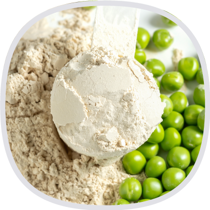 豌豆分離蛋白粉 (富含80%蛋白質) 豌豆分離蛋白粉 (富含80%蛋白質)