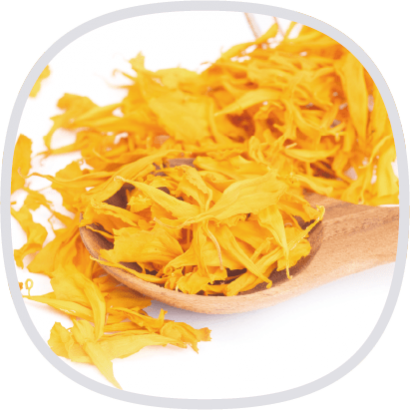 含 20_ 葉黃素封面.png