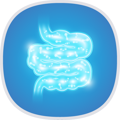 DDS-1® 益生菌(嗜酸乳酸桿菌)-1.png DDS-1® 益生菌(嗜酸乳酸桿菌)-1.png