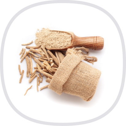 KSM-66南非醉茄萃取-1@2x.png KSM-66南非醉茄萃取-1@2x.png