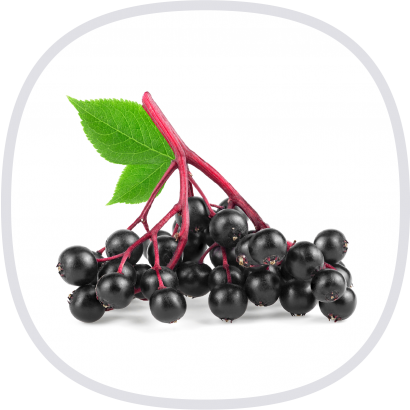 Vita Forte 有機接骨木莓粉-封面@3x.png Vita Forte 有機接骨木莓粉-封面@3x.png