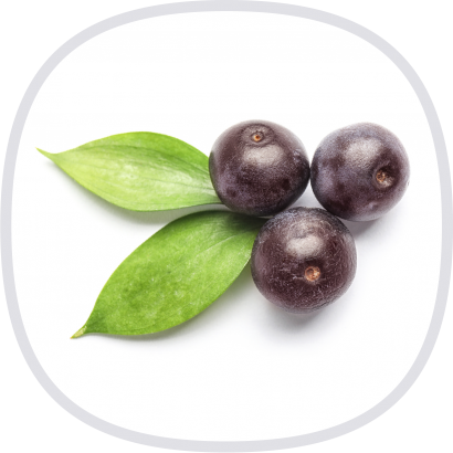 Vita Forte 有機巴西莓粉-封面@3x.png Vita Forte 有機巴西莓粉-封面@3x.png