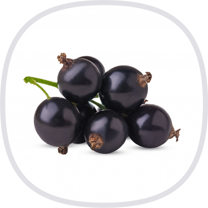 Vita Forte 有機馬基莓粉-封面@3x.png Vita Forte 有機馬基莓粉-封面@3x.png