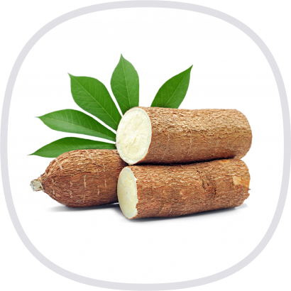 Vita Forte 有機木薯糊精粉-封面@3x.png Vita Forte 有機木薯糊精粉-封面@3x.png