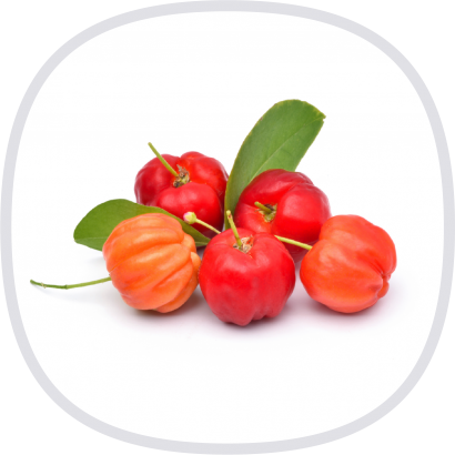 Vita Forte 西印度櫻桃粉-封面@3x.png Vita Forte 西印度櫻桃粉-封面@3x.png