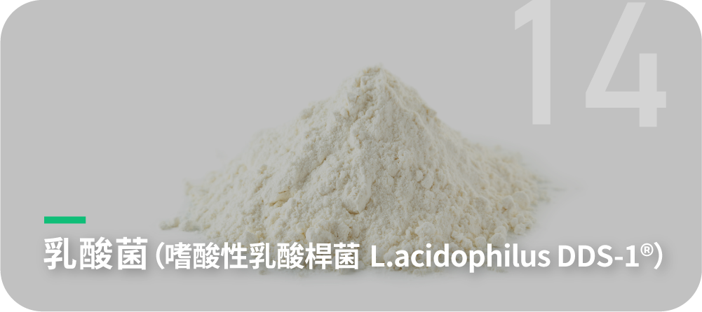 乳酸菌(嗜酸性乳酸桿菌 L.acidophilus DDS-1®