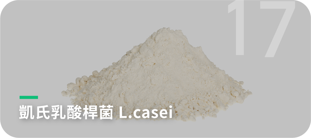 凱氏乳酸桿菌L.casei