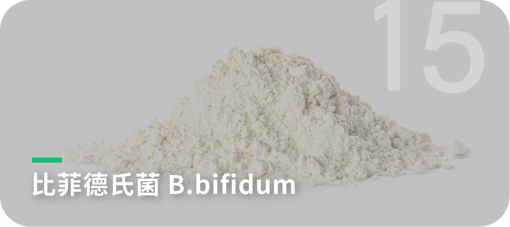 比菲德氏菌 B.bifidum