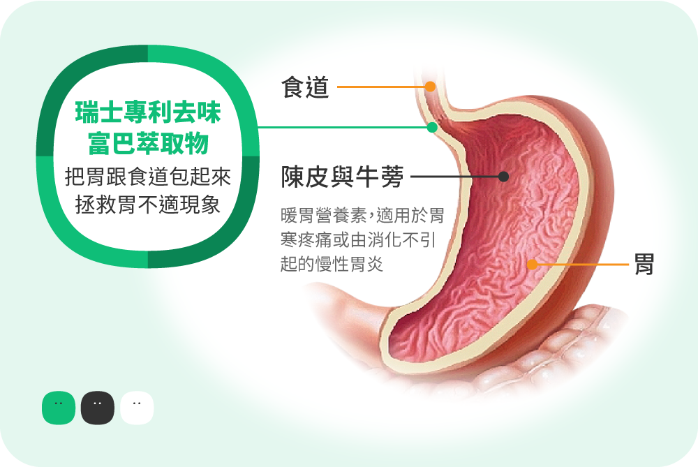 全民保胃戰！專業的營養師配方教你怎麼搭