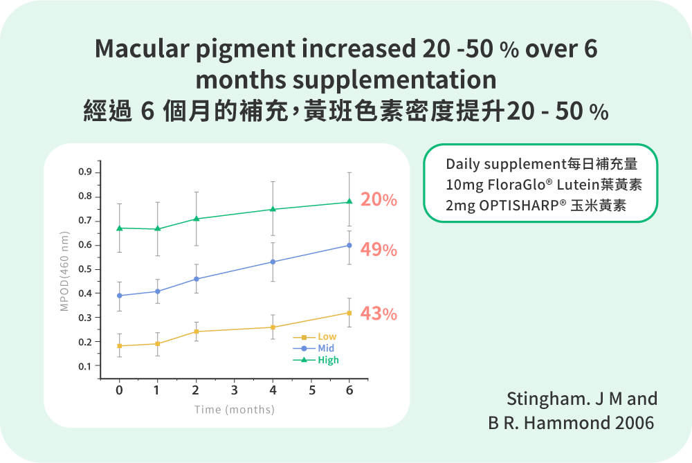 經過6個月補充葉黃素，黃斑色素密度提升20-50%