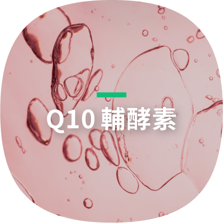 Q10輔酵素
