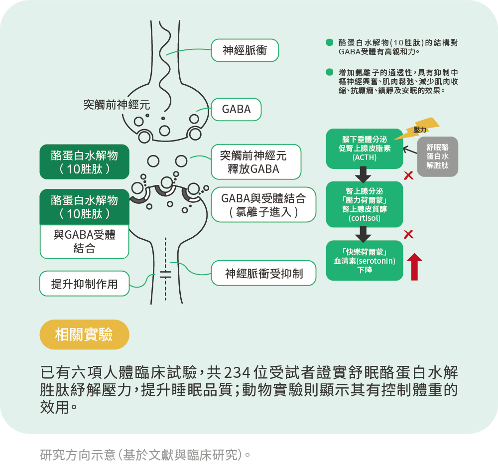 Mar.2026-法國酪蛋白胜肽 Lactium®-3