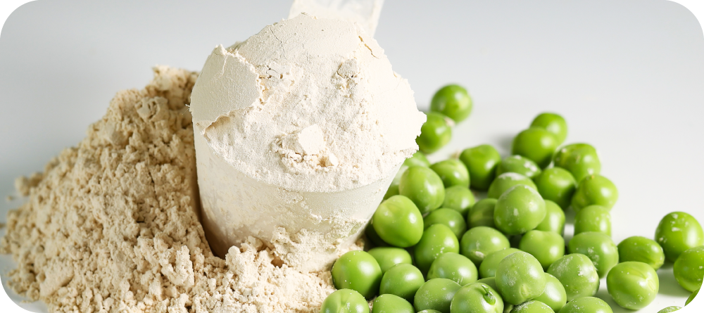 豌豆分離蛋白粉是什麽? 富含80%蛋白質