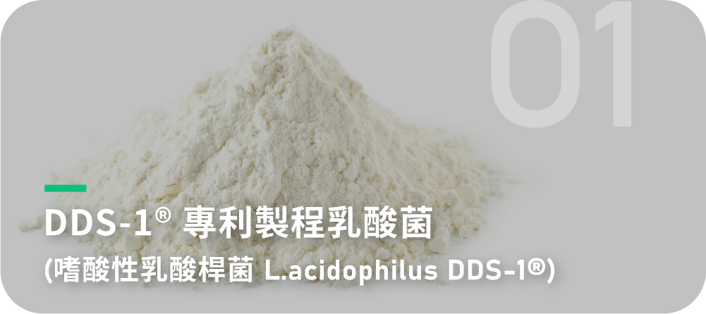 DDS-1® 專利製程乳酸菌