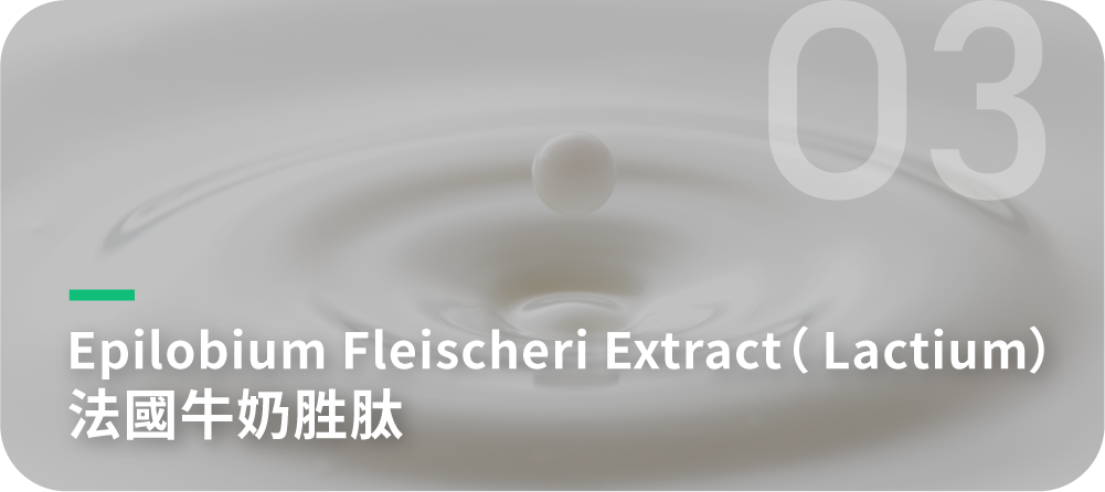 Epilobium Fleischeri Extract-法國牛奶胜肽