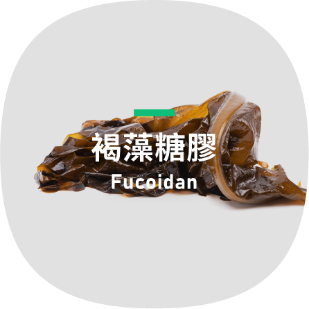 Fucoidan-褐藻糖膠 