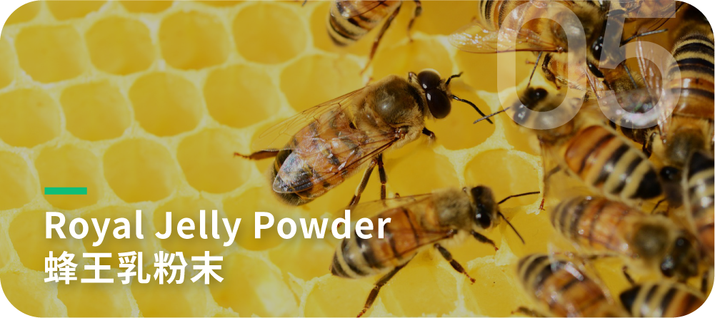 Royal Jelly Powder-蜂王乳粉末