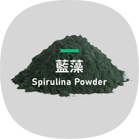 Spirulina Powder-藍藻