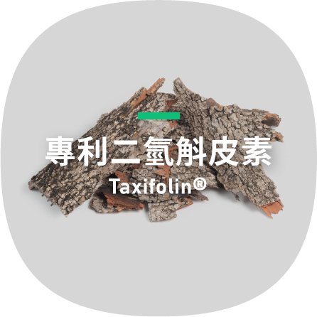 Taxifolin®-專利二氫斛皮素