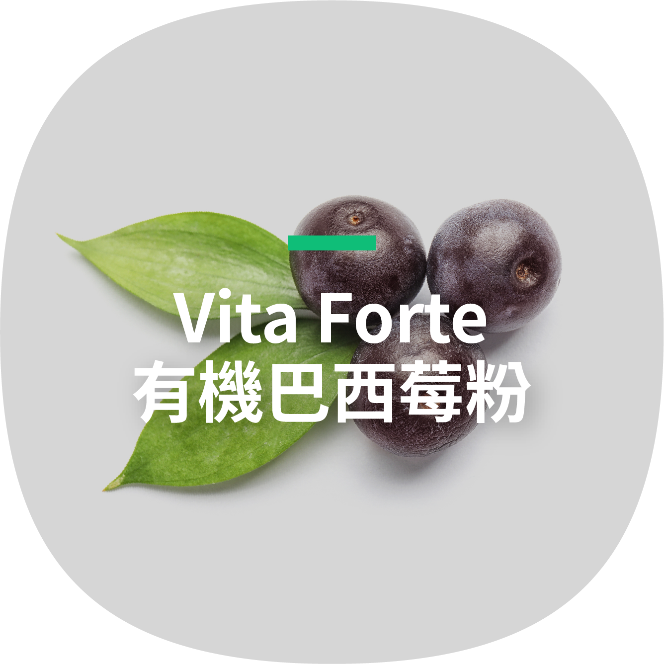 Vita Forte 有機巴西莓粉