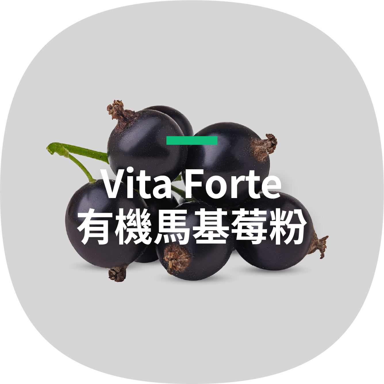Vita Forte 有機馬基莓粉