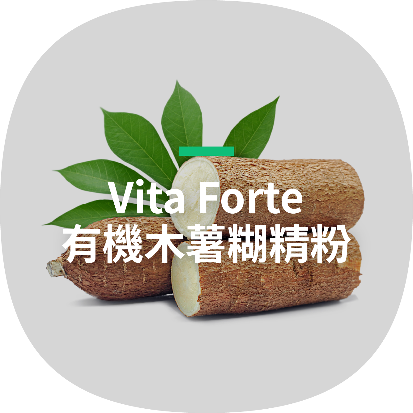 Vita Forte 有機木薯糊精粉