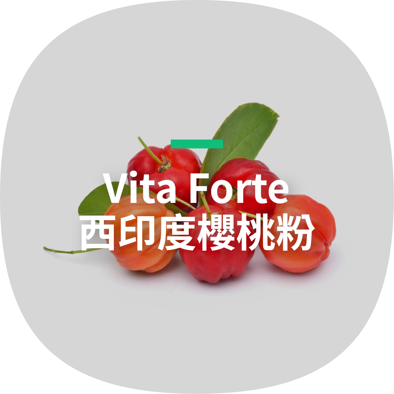 Vita Forte 西印度櫻桃粉